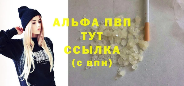 стаф Богданович