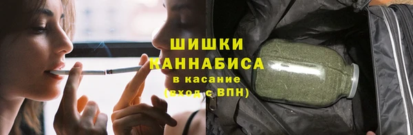стаф Богданович