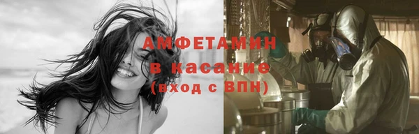 стаф Богданович