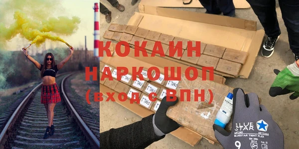 стаф Богданович