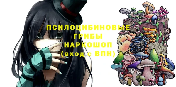 стаф Богданович