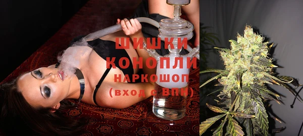стаф Богданович