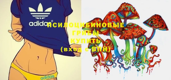 стаф Богданович