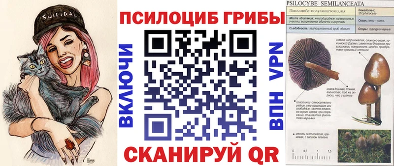 Псилоцибиновые грибы мухоморы  Купить где  Сысерть 