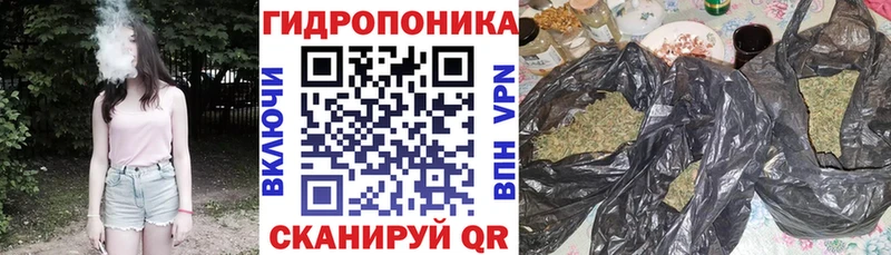 Купить закладки  Сысерть  Каннабис VHQ 